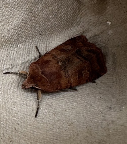 Small Square-spot photo 5
