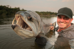 Payara photo 2