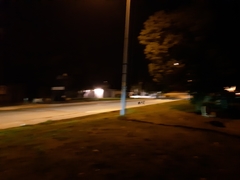 Vulpes vulpes deletrix