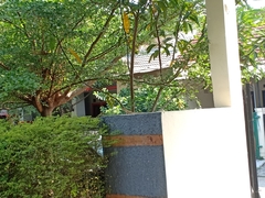 Calotes versicolor