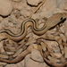 Bogertophis - Photo (c) Michael Price, some rights reserved (CC BY-NC-ND), uploaded by Michael Price