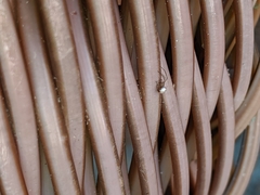 Araneae