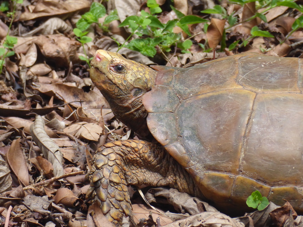 Photo by Remco Hofland