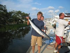 Acanthocybium solandri