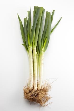 Bunching Onion