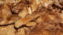 Trichoderma citrinum