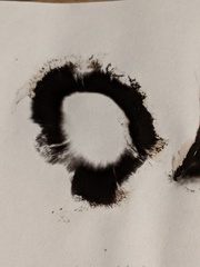 Coprinopsis atramentaria