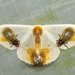 בעלי־כנף (חרקים) - Photo (c) dhfischer,  זכויות יוצרים חלקיות (CC BY-NC)