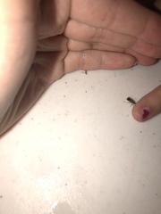 Ochrimnus lineoloides