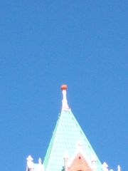 Cucurbita maxima maxima