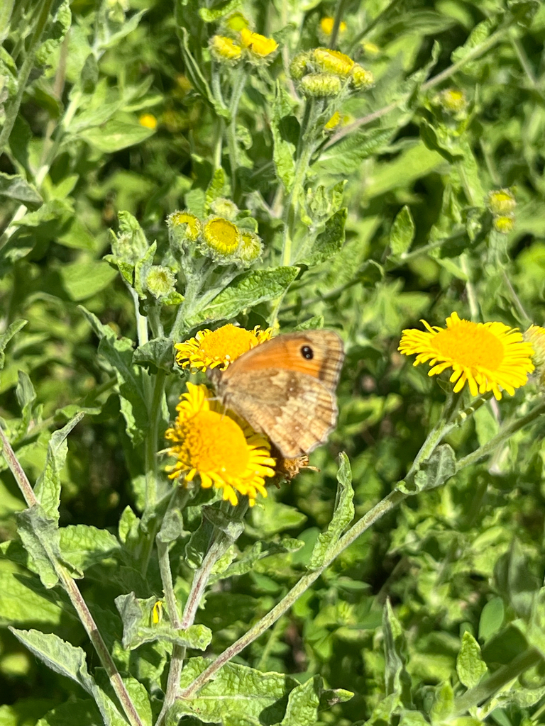 Gatekeeper