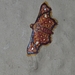 Enispa rosellaria