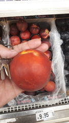 Prunus persica nucipersica