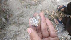 Dyakia