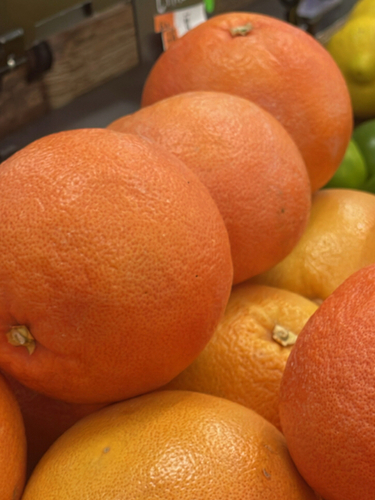 Orange fruit on a tree