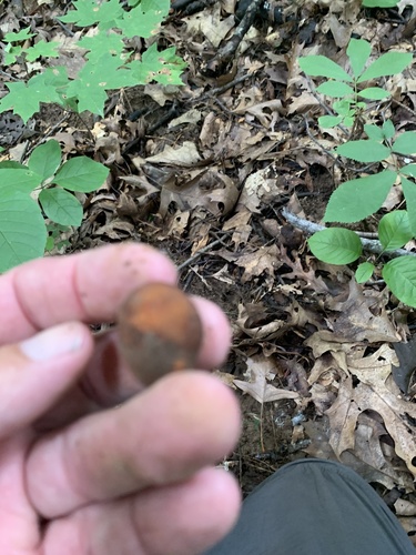 Shirley Creek Trail 5