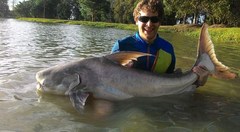 Pangasius sanitwongsei