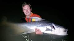 Pangasius sanitwongsei