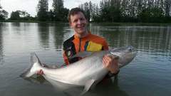 Pangasius sanitwongsei