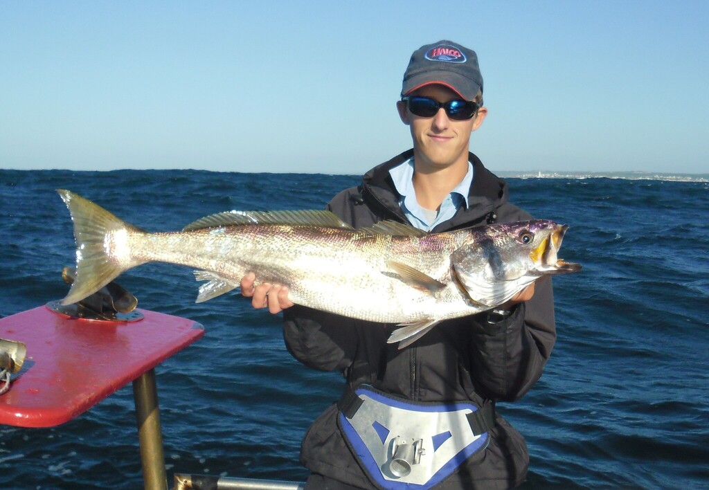 Geelbeck Croaker
