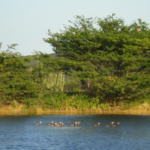 (c) JR Ferrer-Paris, some rights reserved (CC BY)