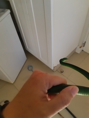 Philothamnus natalensis