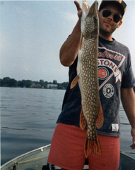 Esox lucius