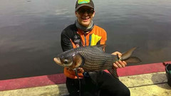 Catlocarpio siamensis