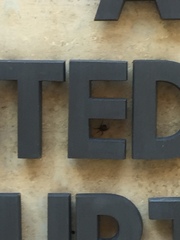 Latrodectus hesperus