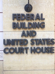 Latrodectus hesperus