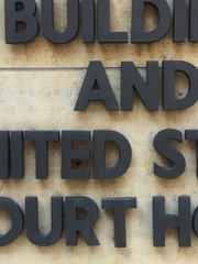 Latrodectus hesperus