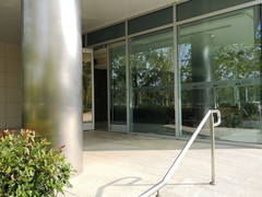 Locustella lanceolata