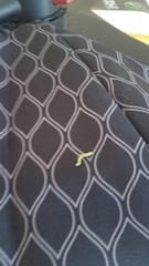 Eupithecia lariciata