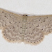 Flecked Wave Moth - Photo (c) Victor W Fazio III, some rights reserved (CC BY-NC), uploaded by Victor W Fazio III