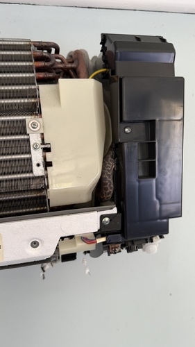 Spotted Python sighting