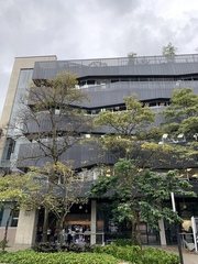 Handroanthus chrysanthus