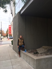 Leiothlypis ruficapilla