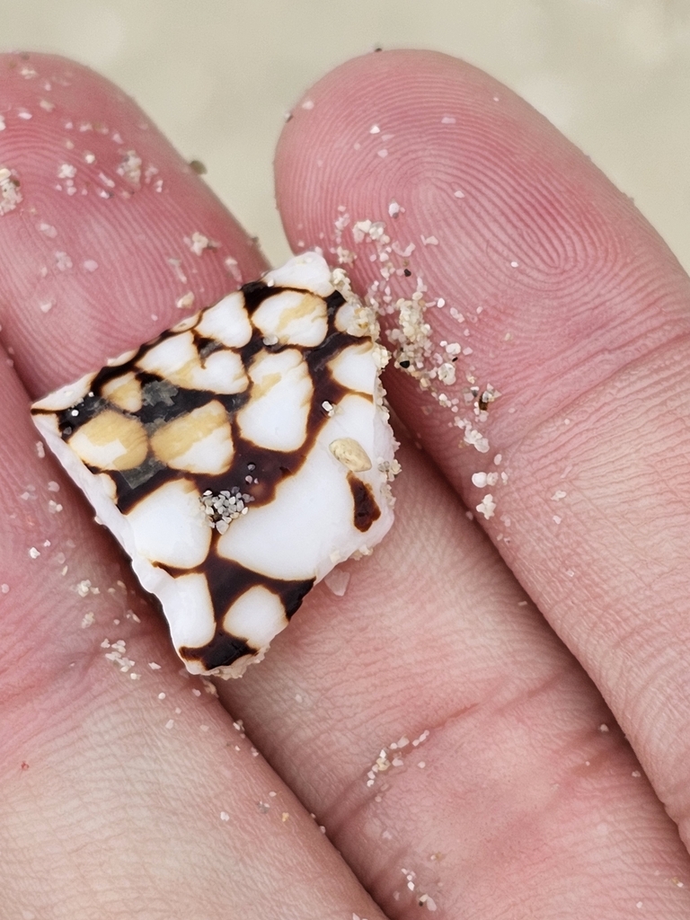 Marble cone