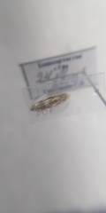 Argyresthia brockeella