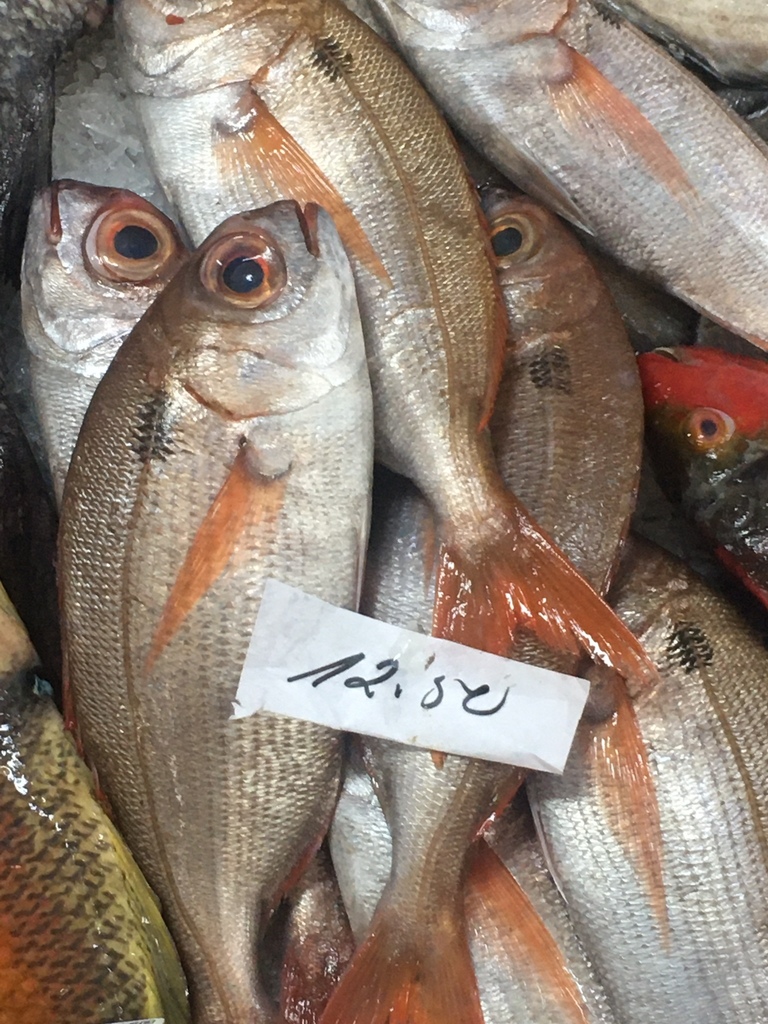 Photo of Blackspot seabream (Pagellus bogaraveo)