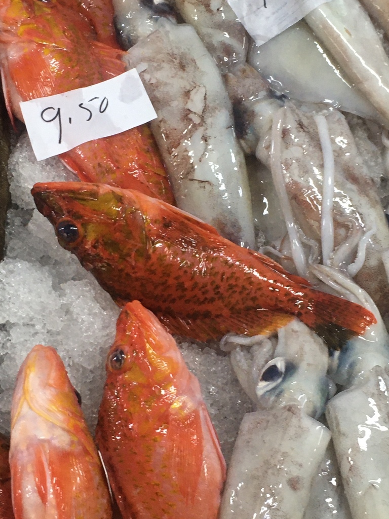 Offshore Rockfish