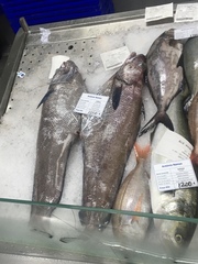 Gadiformes