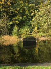 Ardea cinerea