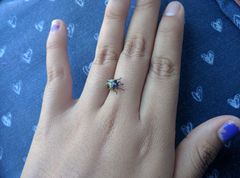 Aegithus quadrinotatus