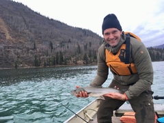 Salvelinus confluentus