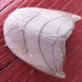 Pseudalbara parvula - Photo (c) onidiras-iNaturalist,  זכויות יוצרים חלקיות (CC BY-NC), הועלה על ידי onidiras-iNaturalist