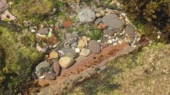 Bathygobius cocosensis