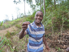 Boulengerula niedeni