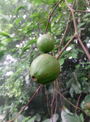 Foto de Desconhecido