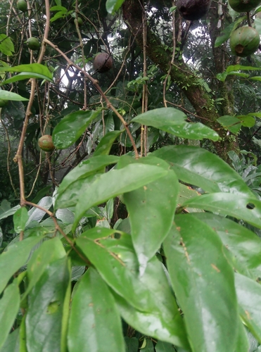 Foto de Desconhecido